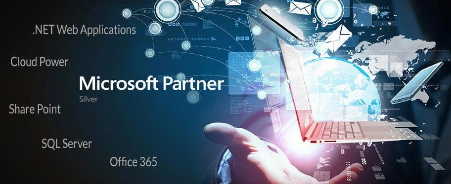 ribo-microsoft-silver-partner